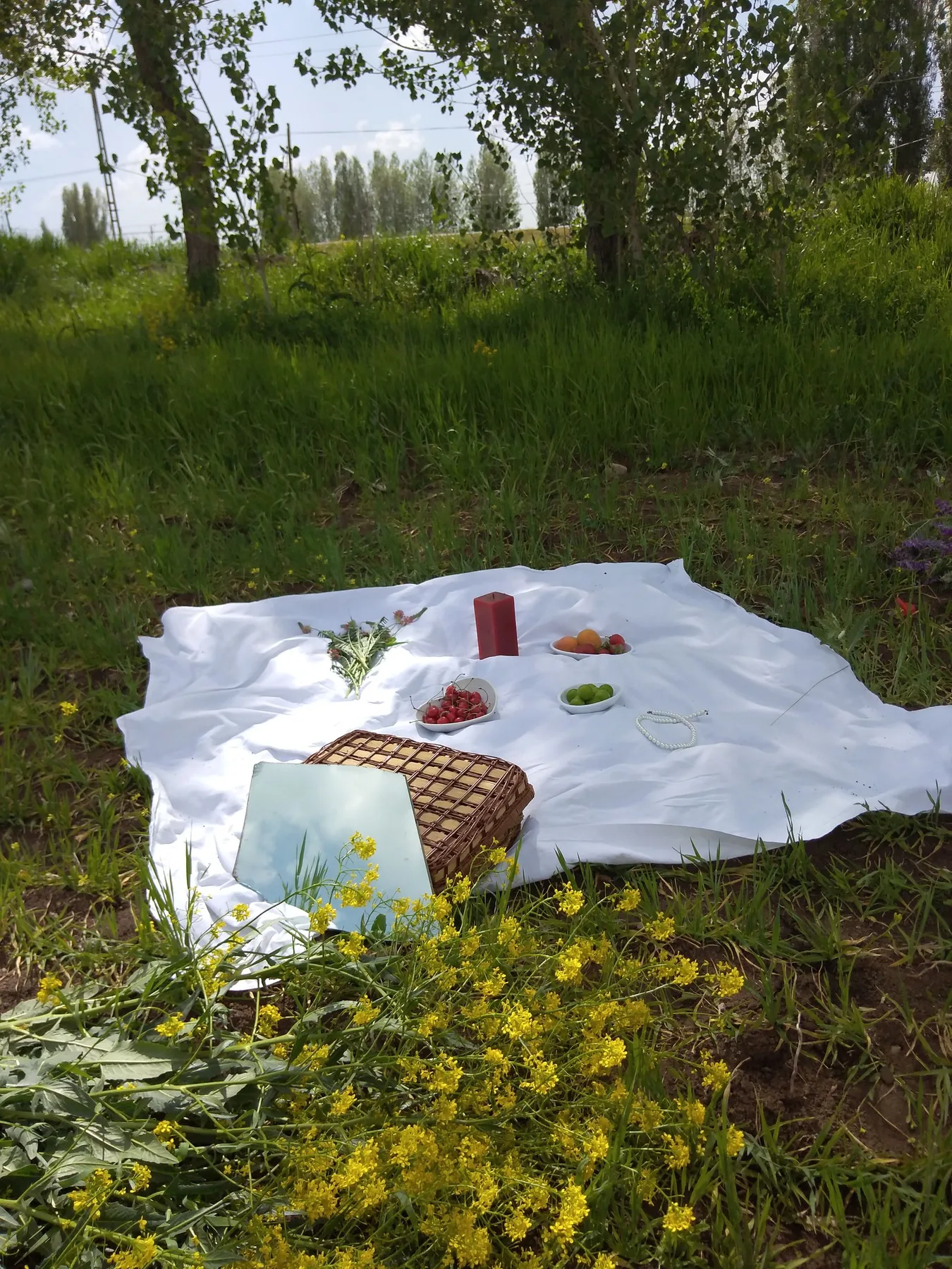 A beautiful picnic setup on a blanket with food and a wicker basket in a grassy field