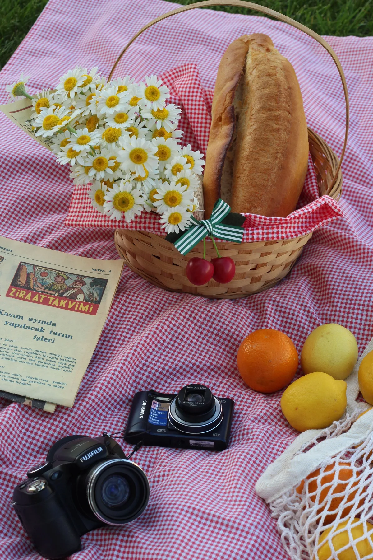 A picnic basket with bread, flowers, and cameras on a red checkered blanket.